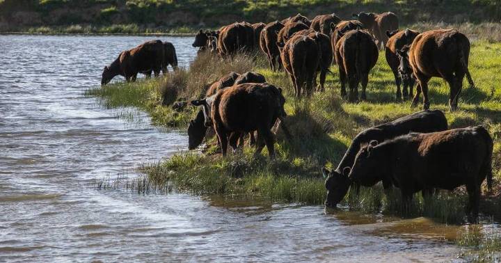 Discover Torokina beef property in NSW's Southern Tablelands