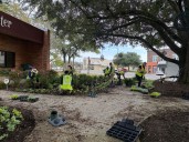 Winter plant replacement underway in Foley