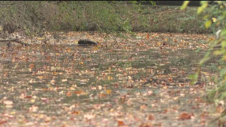 Spill into Cobb County's Rottenwood Creek draws penalty