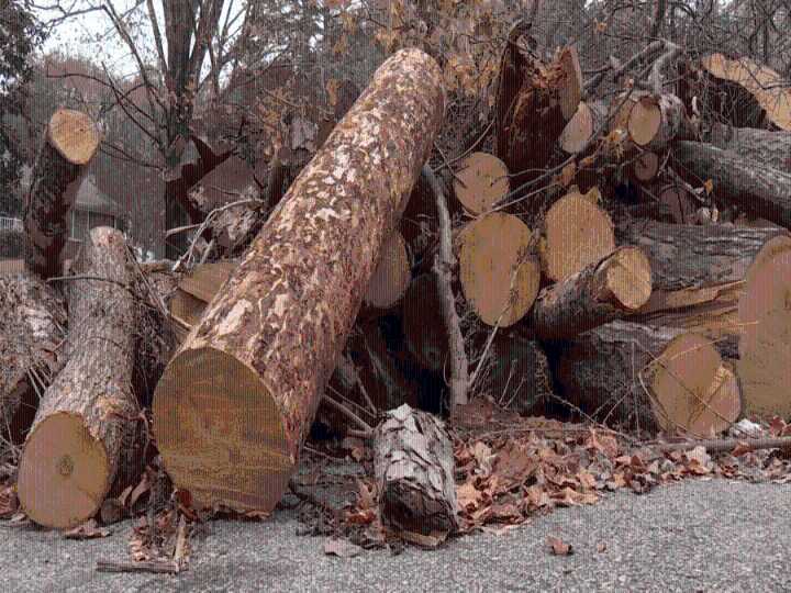 Spartanburg County continues to receive hundreds of reports of Helene debris