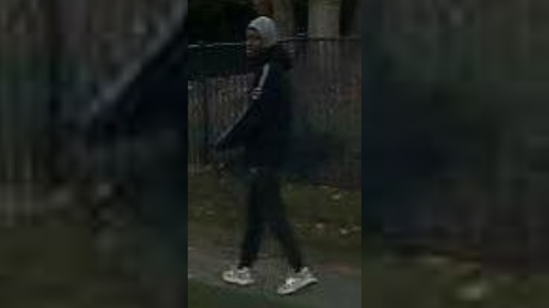 Woman with toddler in stroller attacked by man in Howell, NJ