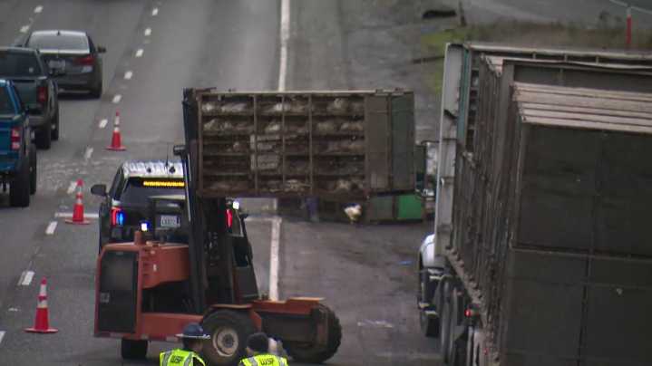 Driver of truck that crashed carrying live chickens cited for falling asleep