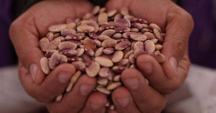 Inauguran Feria del Frijol y Agrobiodiversidad en la CDMX