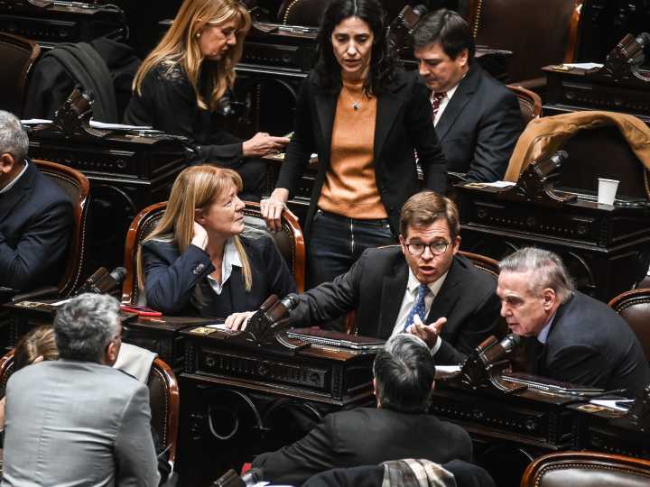 Provincias Unidas quedó al borde de la ruptura en Diputados por la pelea entre Pichetto y los gobernadores
