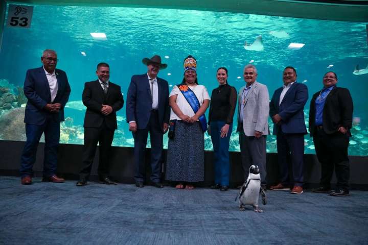 Scottsdale nonprofit fighting homelessness