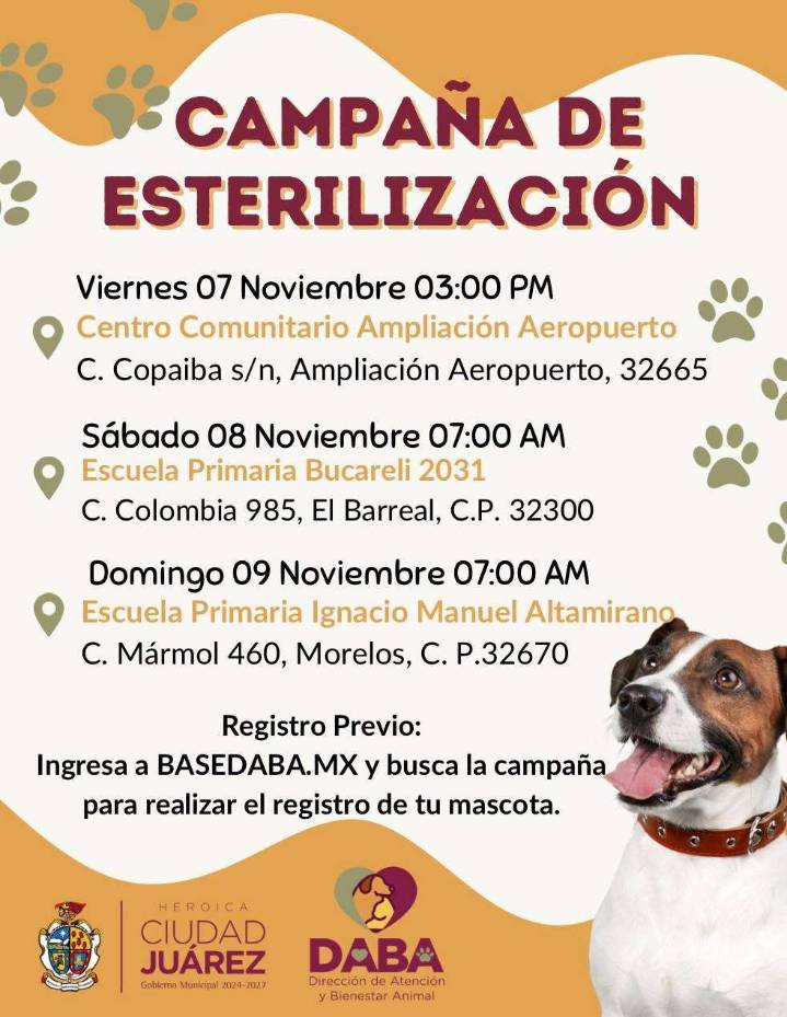 Continúa hoy y mañana esterilización gratis de mascotas