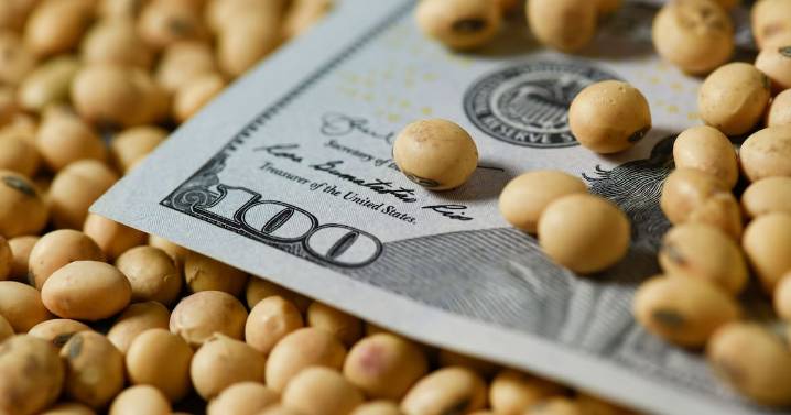 Una propuesta concreta de reducción indirecta, general y progresiva de las retenciones agrícolas, aplicable a partir de 2026