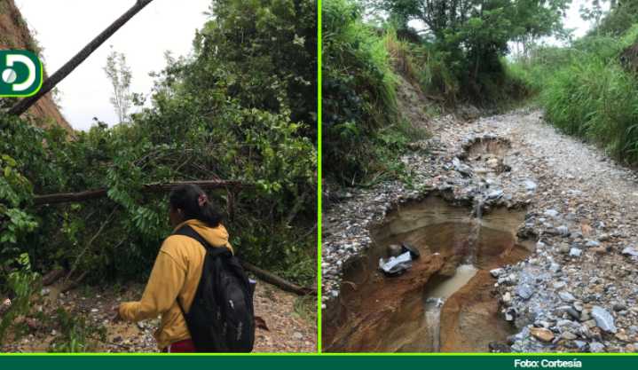 Fuerte derrumbe dejó incomunicados a estudiantes que iban a presentar pruebas en Sonsón