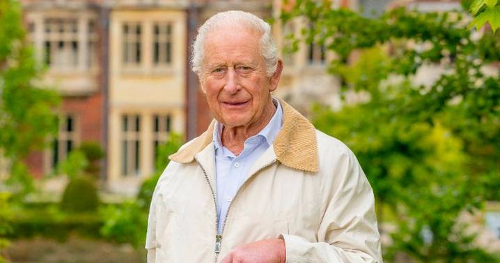 King Charles beams in new portrait to commemorate his 77th birthday