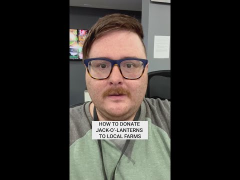 How to donate used jack-o’-lanterns to feed local farm animals