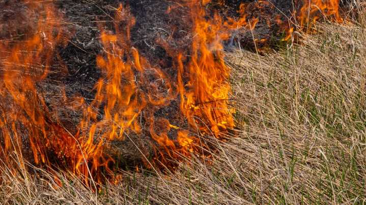 Sunday expected to bring more fire danger to San Antonio. Here's what to know.