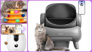 Shop these best-selling smart pet tech gift ideas