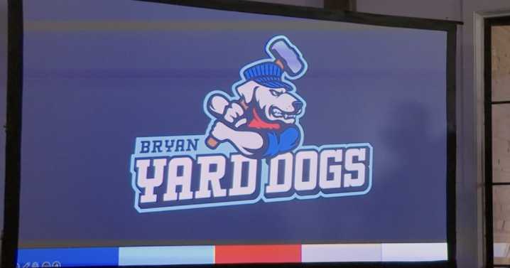 Bryan baseball franchise reveals team name, logo and manager for inaugural season