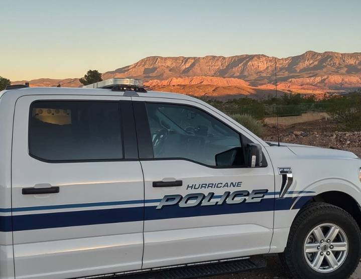 Dog who bit child in Hurricane, causing serious injuries, to be euthanized