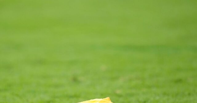 Fans Outraged By Targeting Call Decision in Ohio State Game