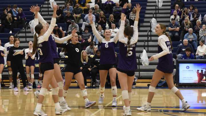 Lakeview advances in Div. 1 district in volleyball; Harper Creek wins