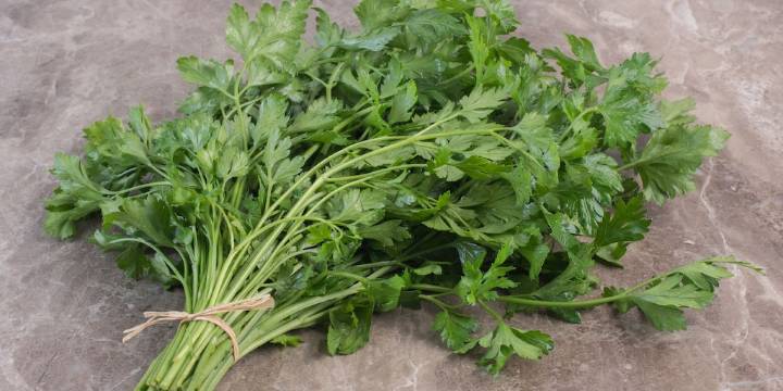 Esta es la hierba aromática que limpia los riñones y previene la retención de líquidos