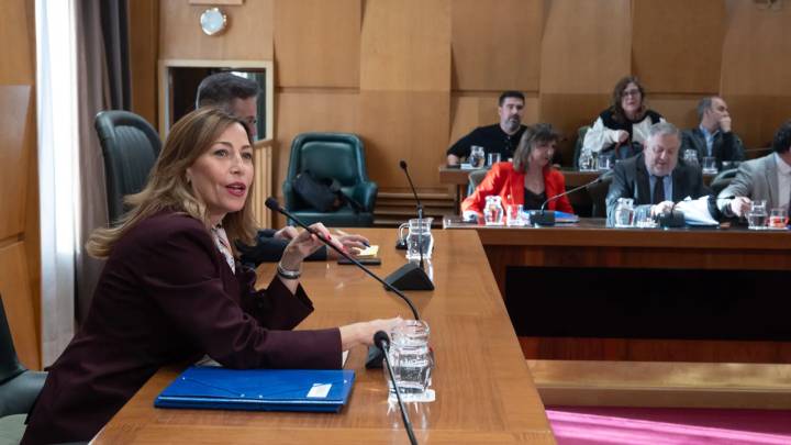 El pleno de Zaragoza sobre la mujer que propuso el PSOE y acabó en el terreno de Vox