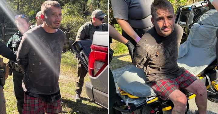 Stolen truck suspect avoids law enforcement by hiding in Florida swamp for 2 days, deputies say