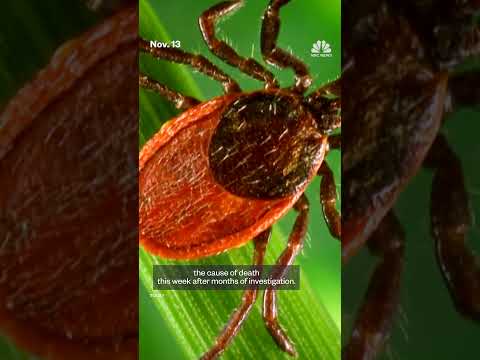 Man dies from a meat allergy caused by a tick bite