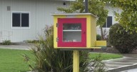 Lodi little libraries transformed into little food pantries for people in need