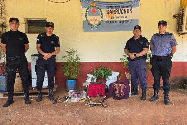 Allanamiento: Secuestran plantas de marihuana y armas blancas en el interior correntino