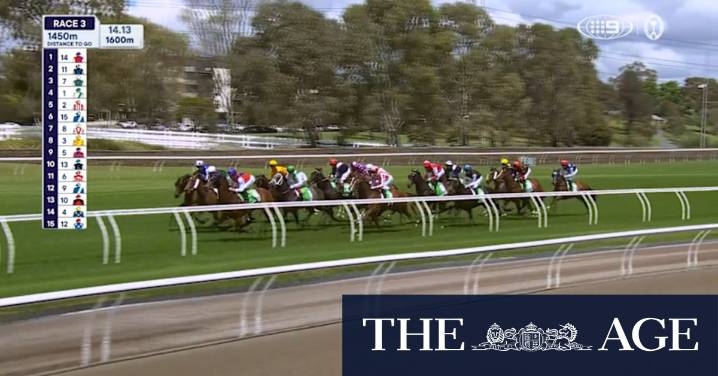 Lexus Melbourne Cup Day: Race 3