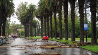El tiempo en Rosario: domingo ventoso después del alerta naranja por tormentas