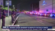 Deputy killed in reported ambush shooting