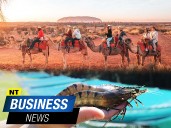 NT Business News – November 17