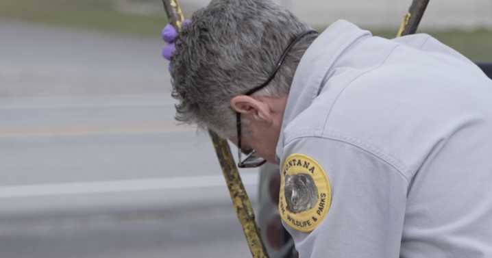 Final days of general hunting season in NW Montana