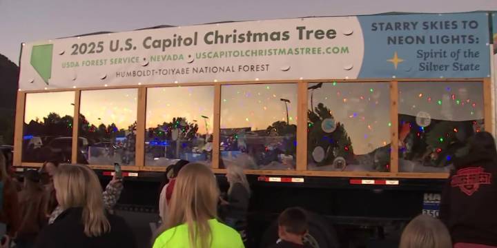 U.S. Capitol Christmas Tree to stop in Paducah, Ky.
