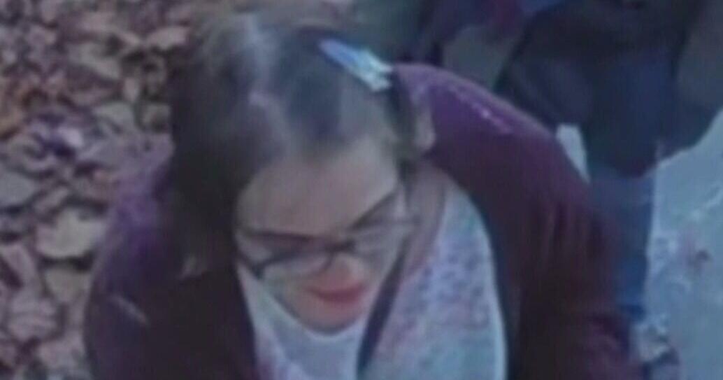 Slender Man stabbing: Morgan Geyser missing