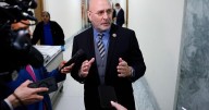 Who voted against releasing the Epstein files? Rep. Clay Higgins explains his opposition to the House's bill