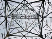 TSX company's stock buck tough week 