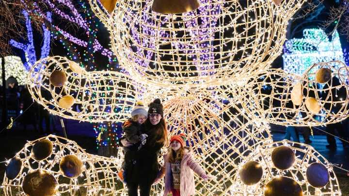 Detroit Zoo's Wild Lights returns with new holiday experiences