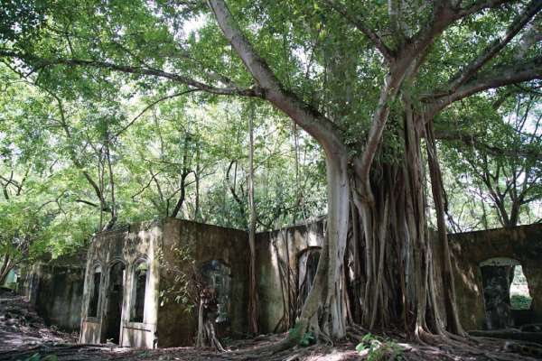 Armero: 40 años como Campo Santo
