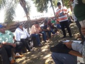 Crisis yerbatera en Paraguay: productores reclaman por cupos y prevén más eliminación de plantaciones