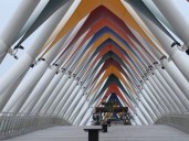 Atal Bridge draws 77 lakh visitors, earns over ₹27 crore revenue