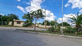 Vecinos de Piedra de Agua exigen medidas ante daños provocados por tráilers en taller local