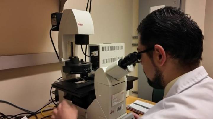 Somos Latinos: Doctor prepara tecnología contra el cáncer infantil