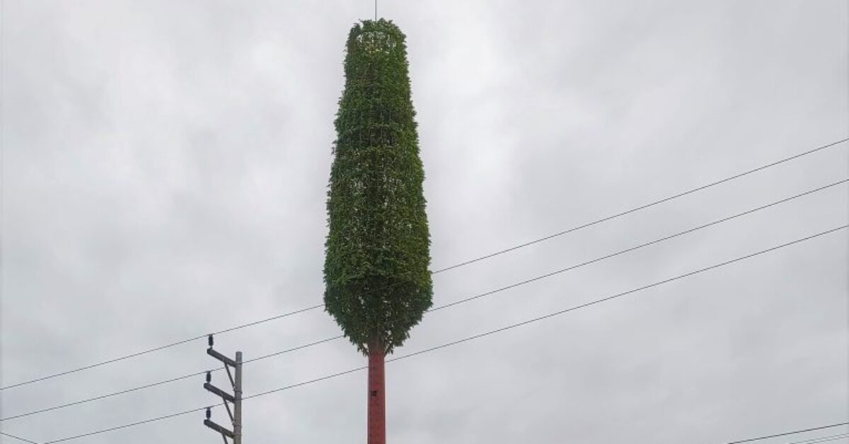 Presentan escritos legales a la MPI por instalación de antena