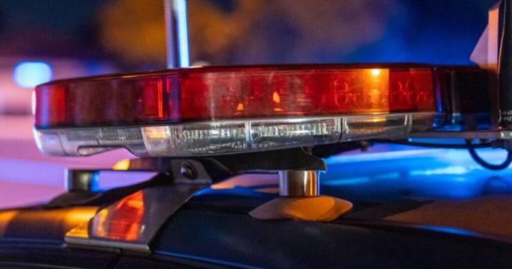 Elwood woman injured stopping car thieves from towing her BMW