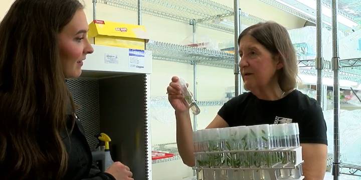 Cincinnati Zoo researcher wins international conservation award