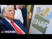 ‘How can we call ourselves civilized if citizens are hungry?’: Businesses step up as SNAP pauses