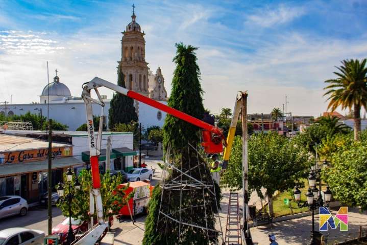 Programan encendido del Árbol Navideño en el municipio para el 7 de diciembre