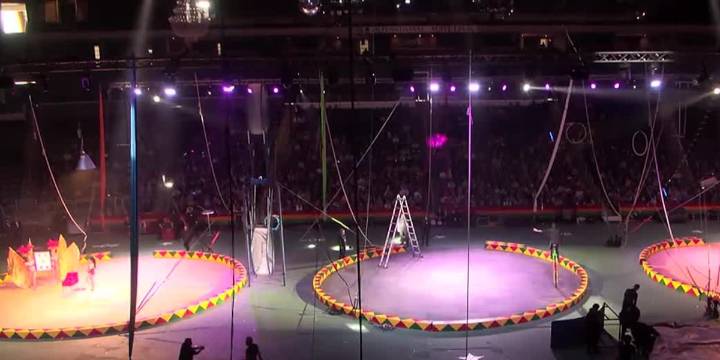 Hadi Shrine Circus celebrating 91st year on Thanksgiving