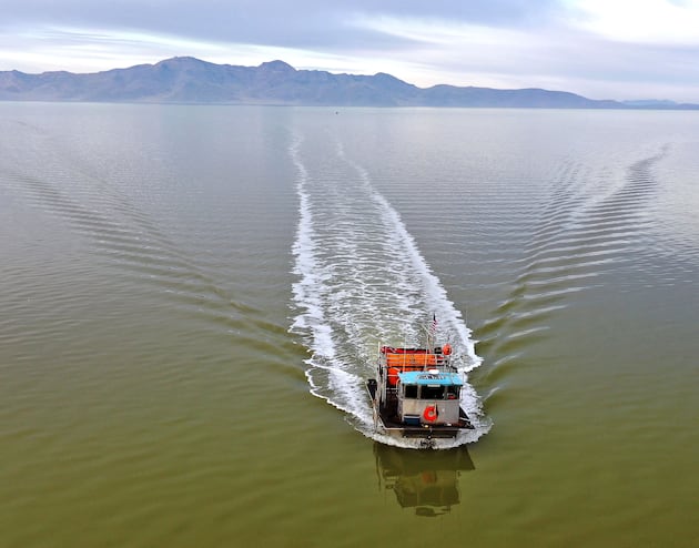 Opinion: Aquaculture expansion matters for Utah’s economy and communities