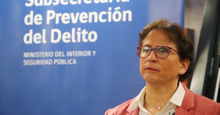 Leitao por banda que operaba en San Vicente de Tagua Tagua: “Lo más importante es detener a estas personas y condenarlas”