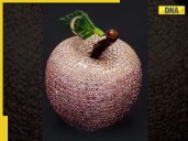 THIS is world’s most expensive apple worth Rs..., designed by...